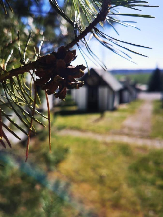 Cyklocamp Pod Landstejnem Hotell Stare Mesto  Eksteriør bilde